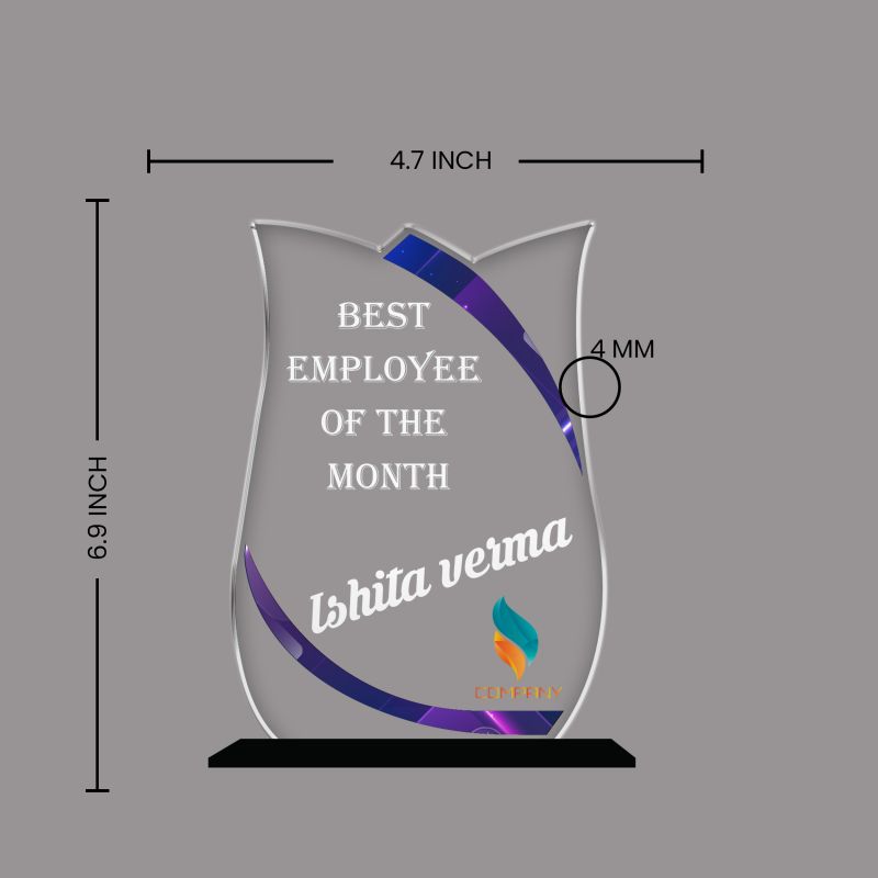 Personalized Best Employee of The Month Award Custom Acrylic Trophy with Name  Unique Recognition Gift for Staff and Coworkers Employee Achievement Award